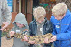 Curbing the fear of snakes