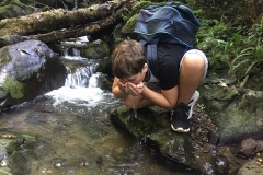 Freedom-Day-Hike-2